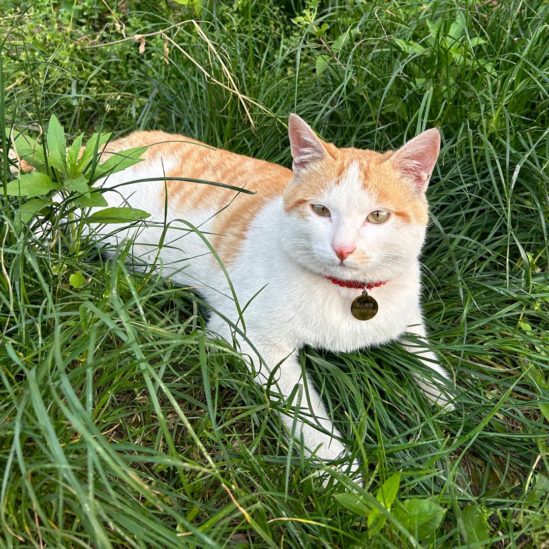 我是老高，不发脾气只发财