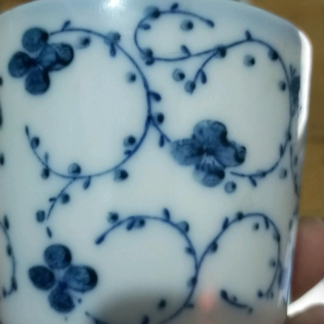 天天猫