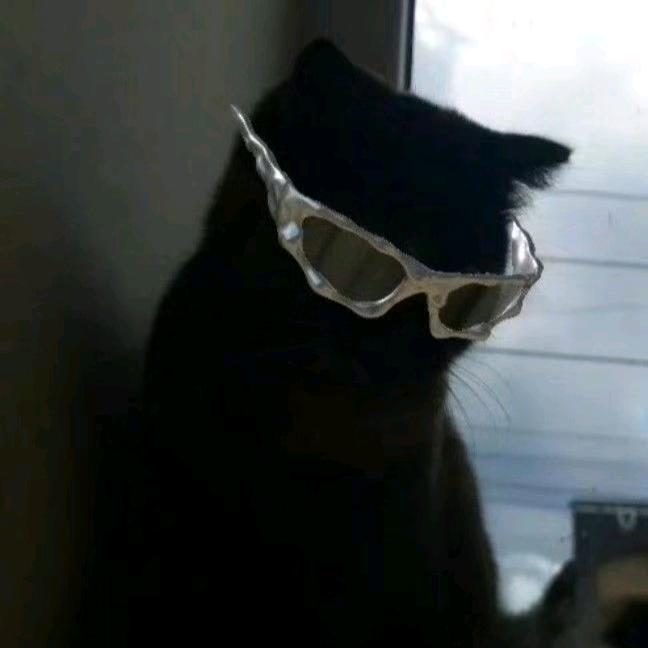 爱因斯坦的小马扎🐮