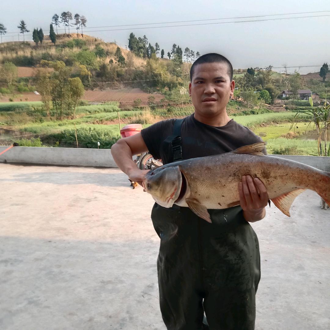 拥拱三大八队鱼成哥钓场，欢迎钓鱼爱好者