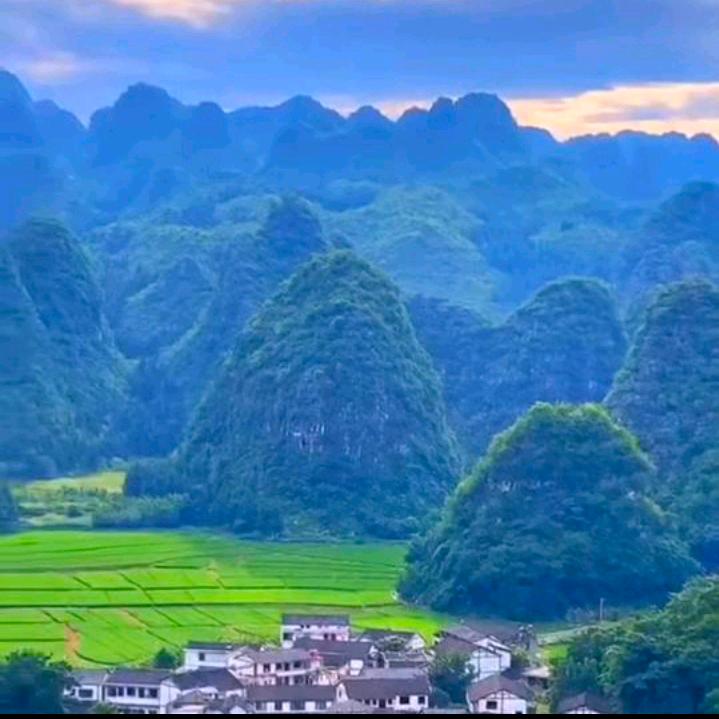 伍福家园