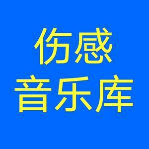 情感🎶音乐