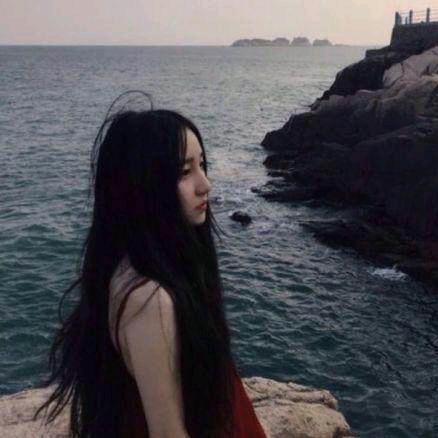 似慵懒怪猫
