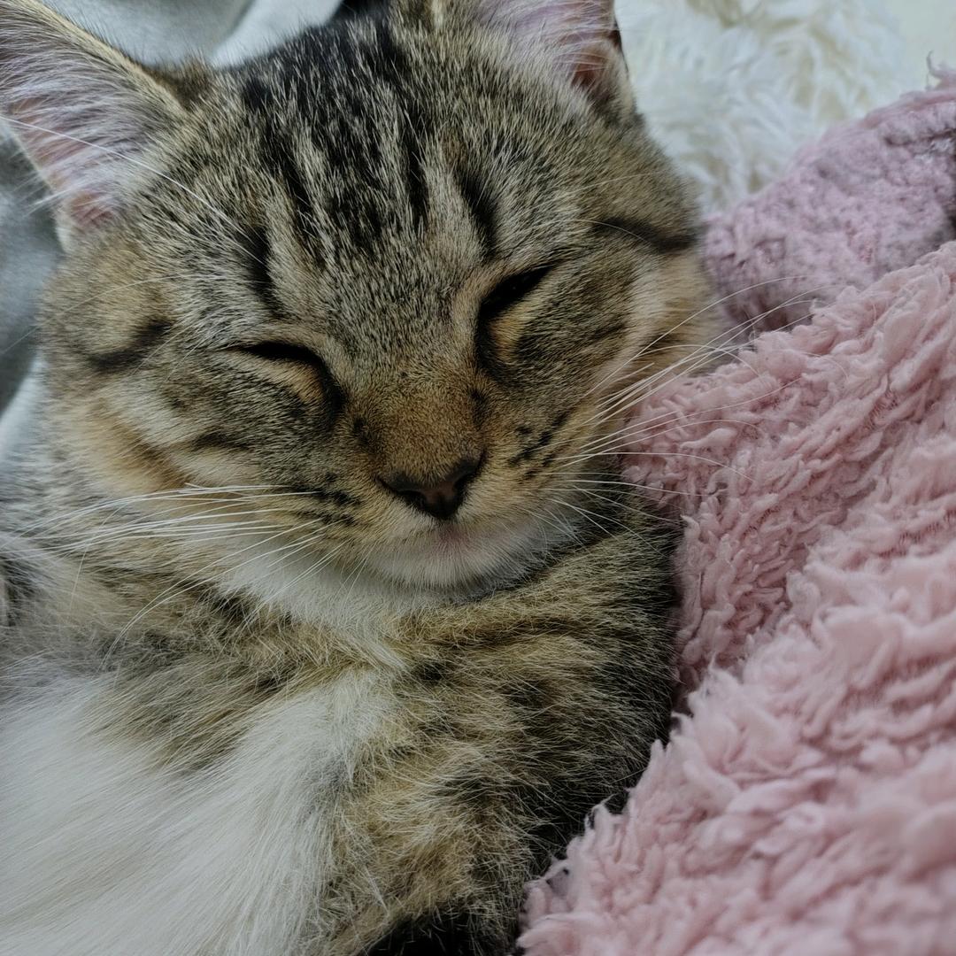 溪溪呀✔（好运常在）