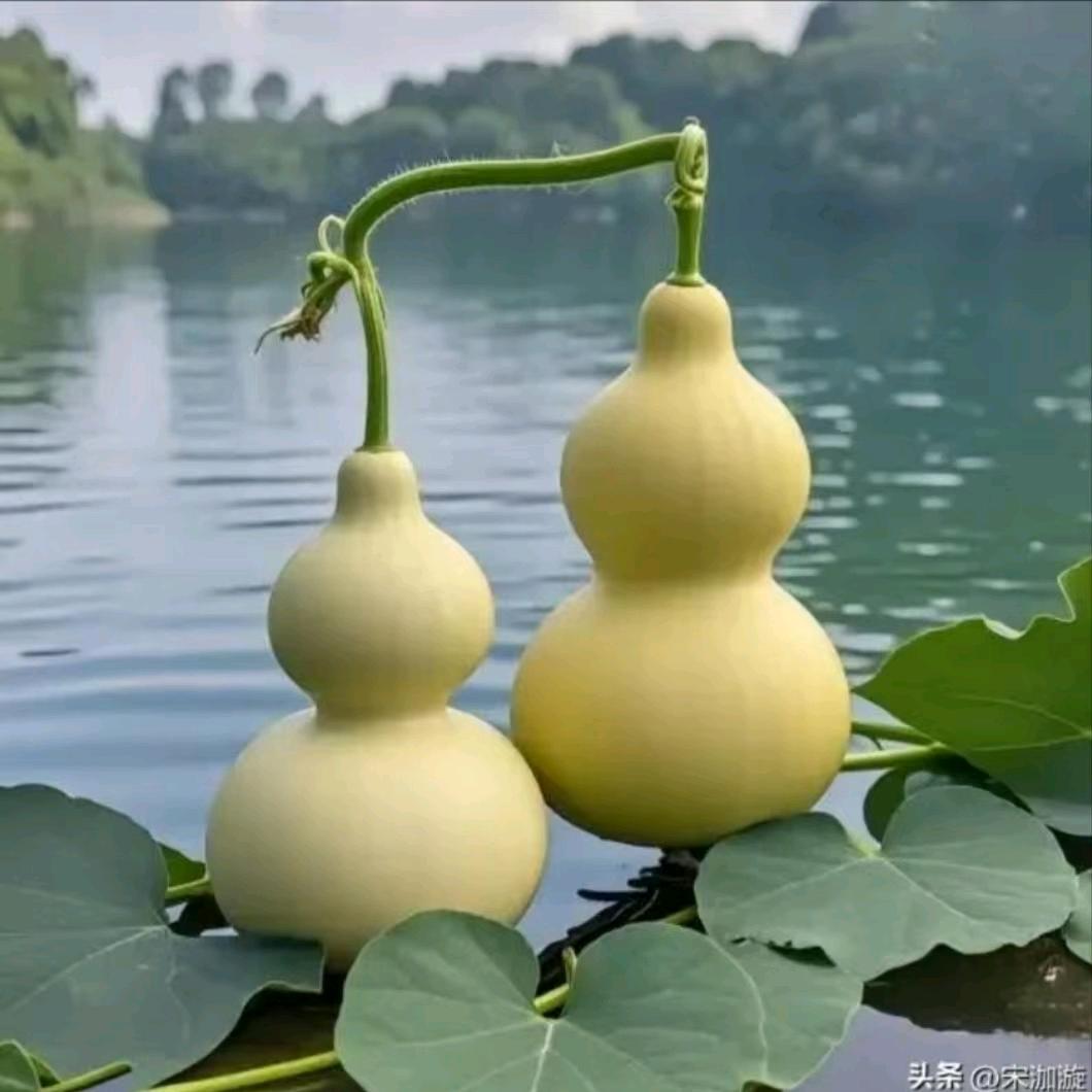 小河流水