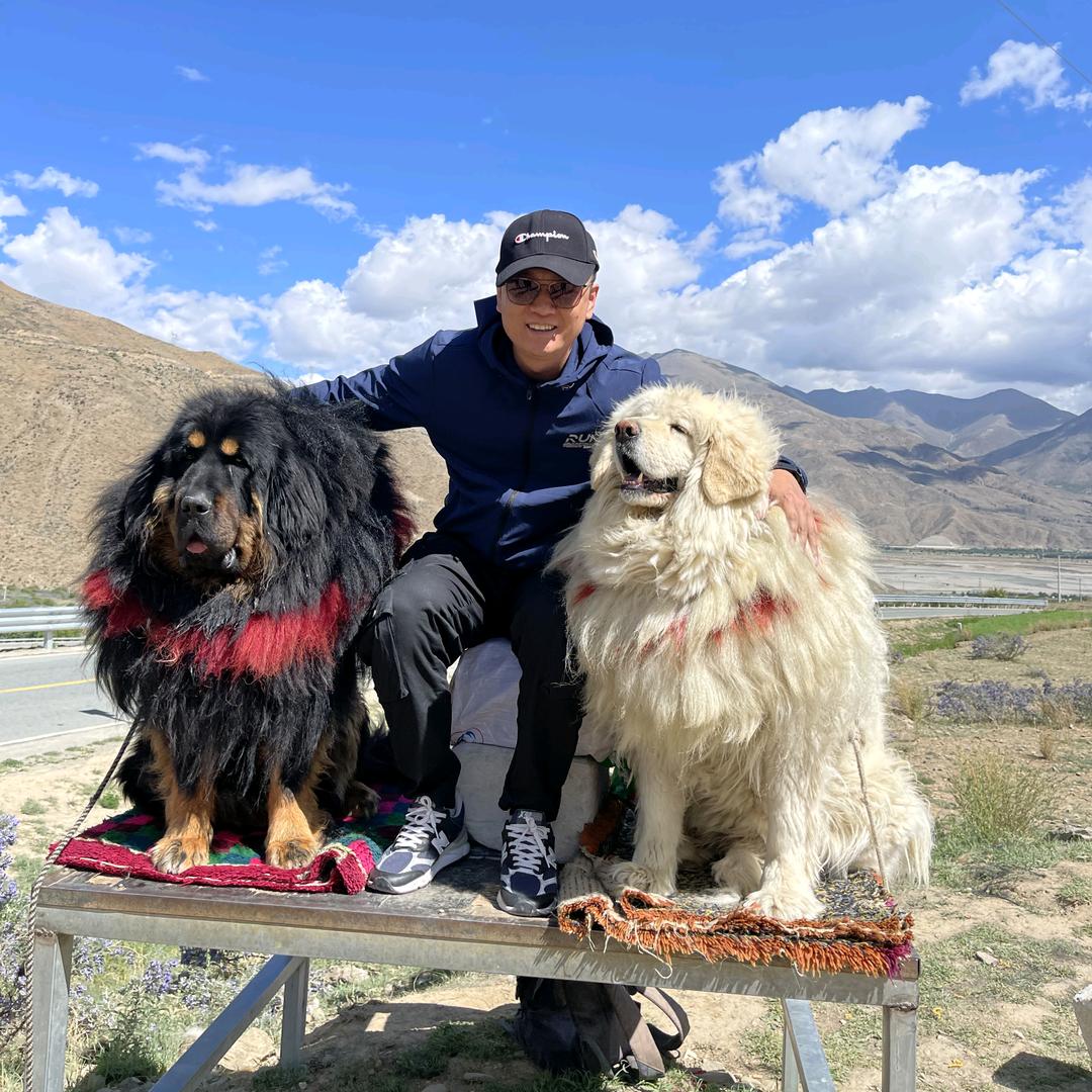 老刘教练爱蹦哒