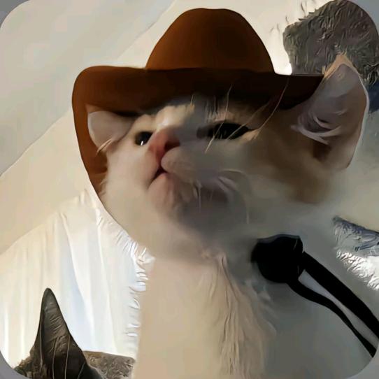 丷怪猫丷