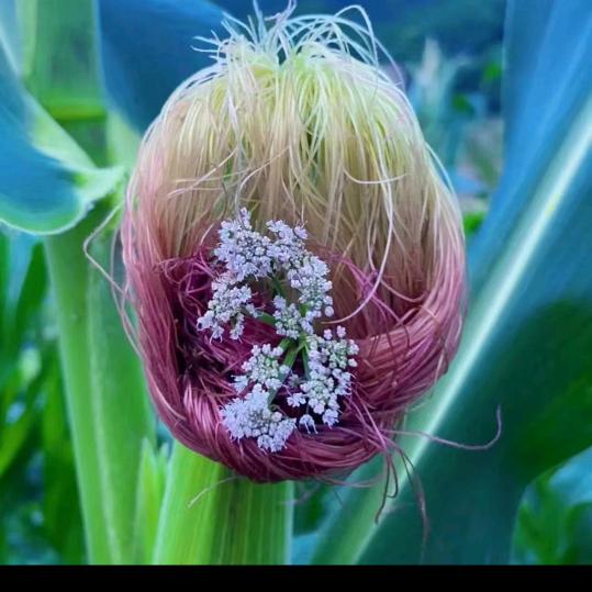 愿我余生有钱花😗😗