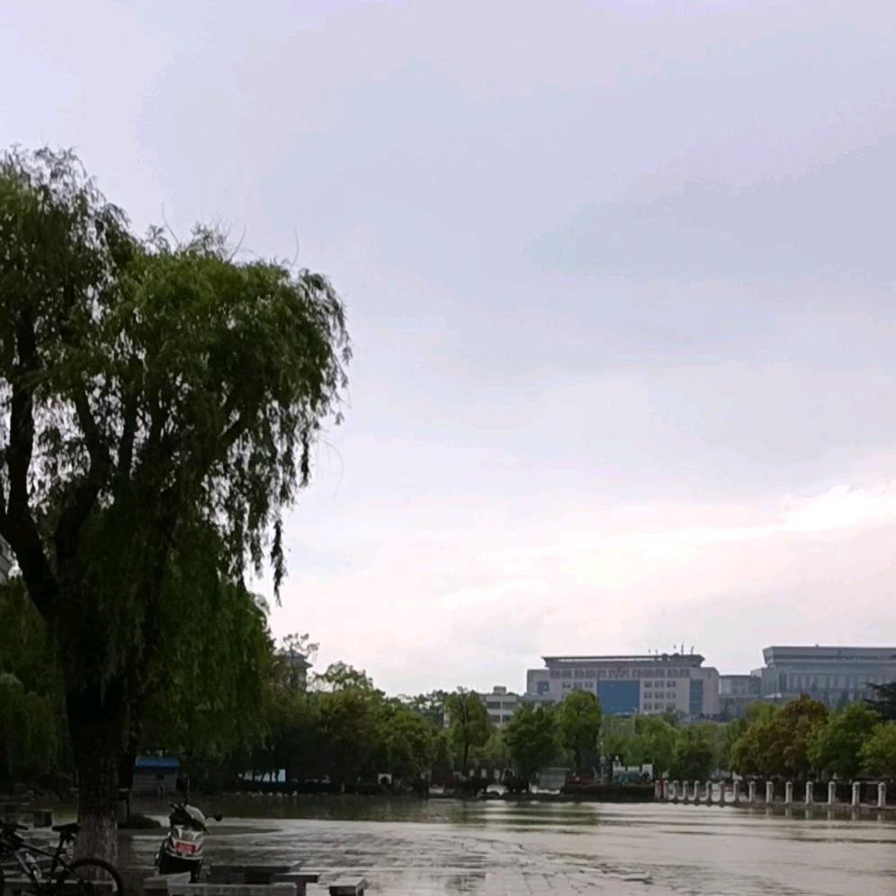 怡然似梦