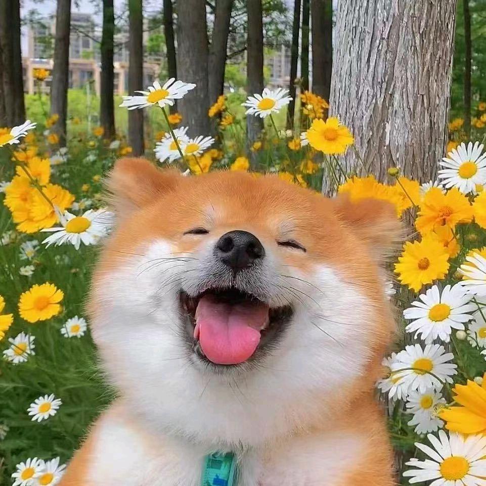 态亿科技--小满