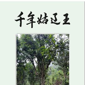 广西千年姑辽王茶业公司·品牌宣传