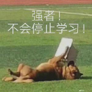 闲云孤鹤