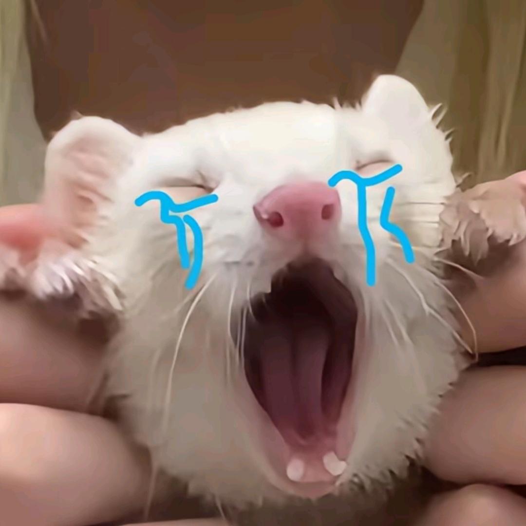 溪鱼徐