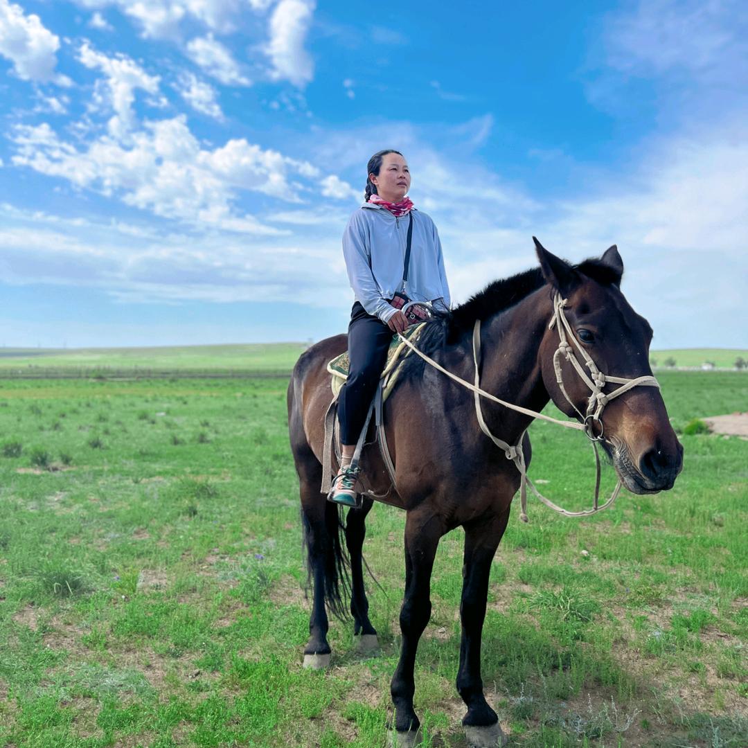 希拉穆仁草原小利