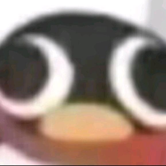 墨墨七