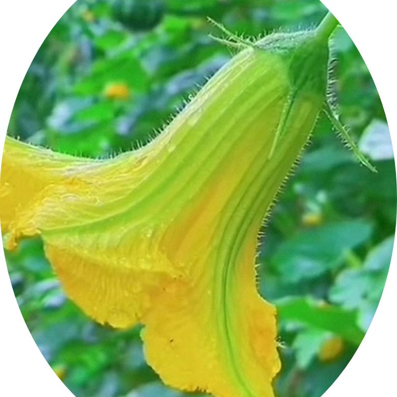 追求梦想