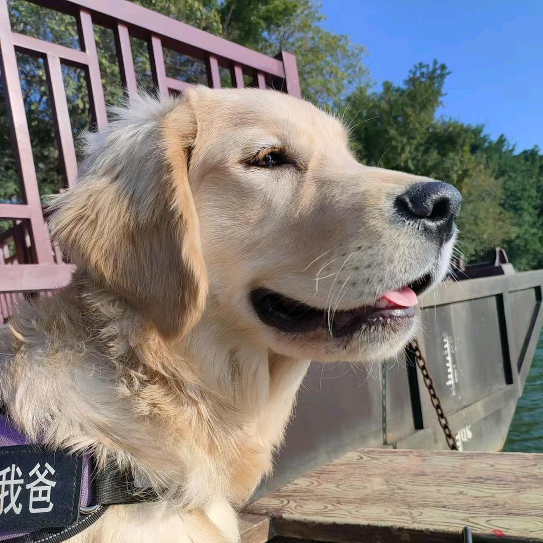 竹乡阿牛