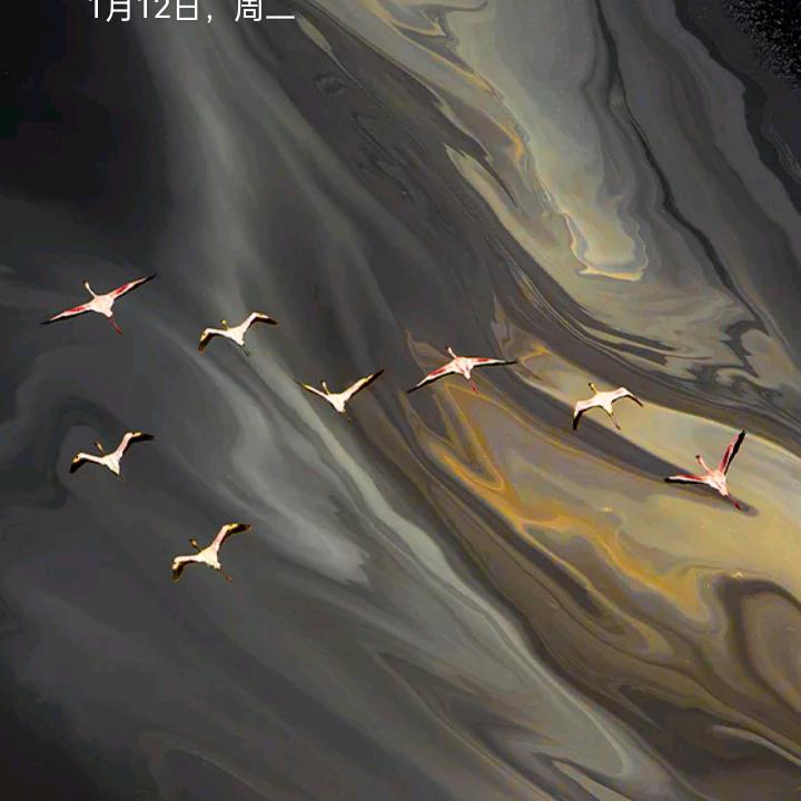 用户23172038