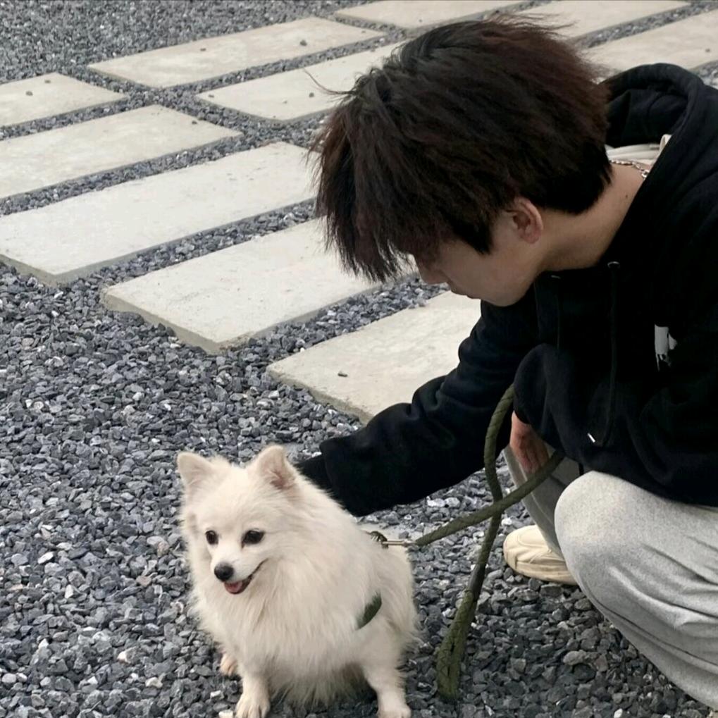 宇宙无敌暴龙战士