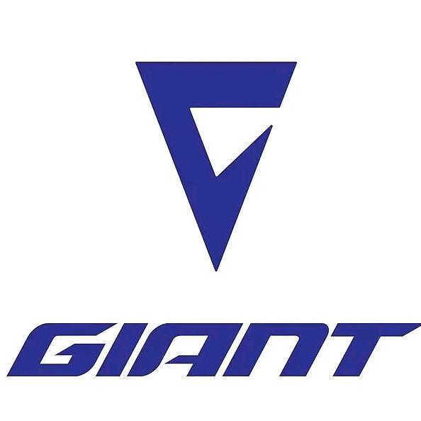 捷安特滑县文明路专业店