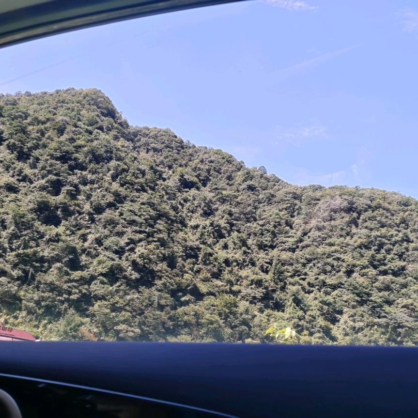 一切看淡