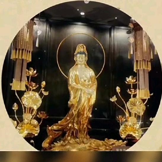 霞飞飞