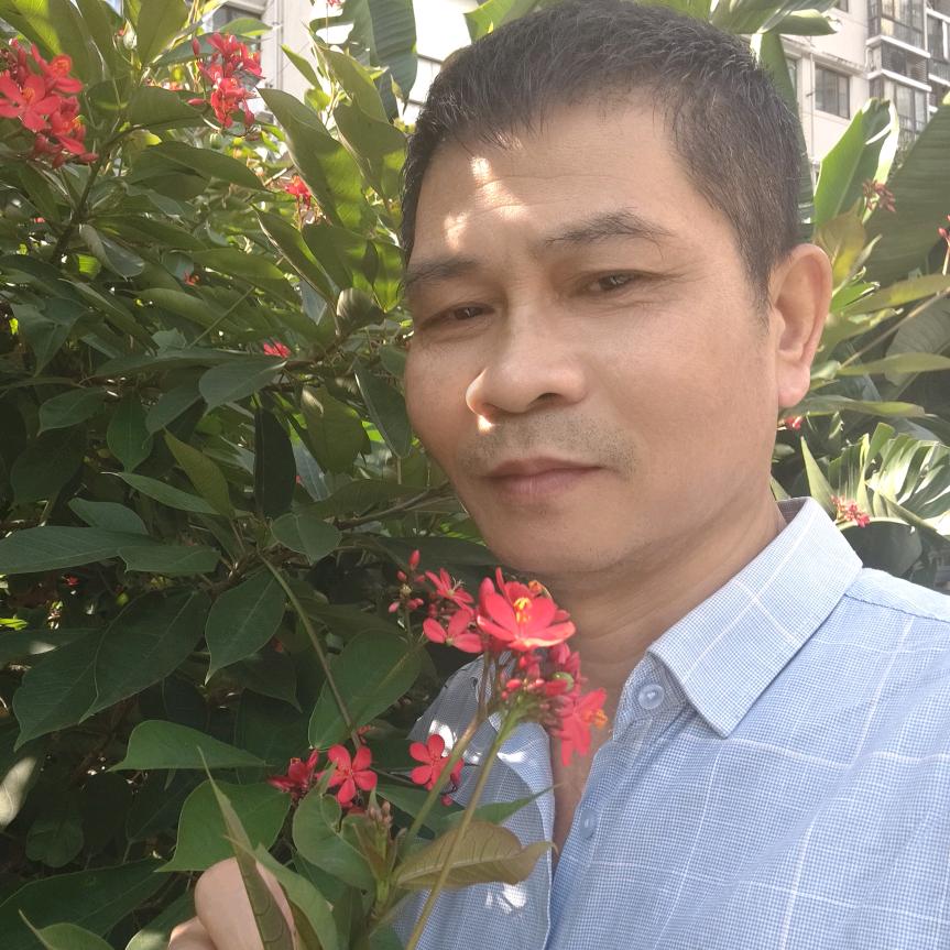朱晓华