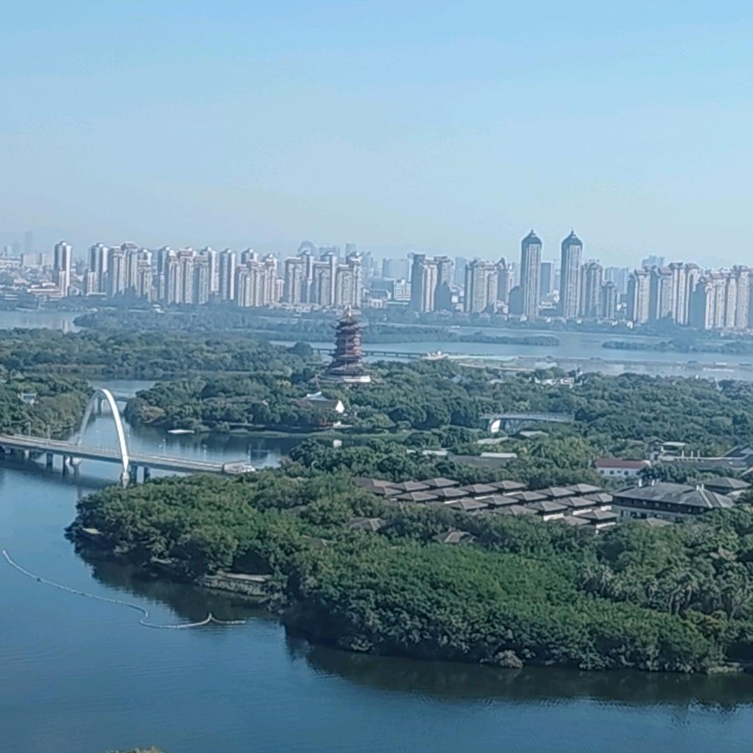 小红红