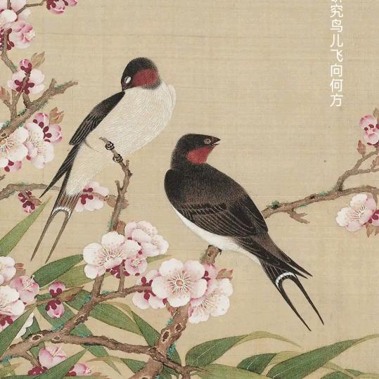 人间有情
