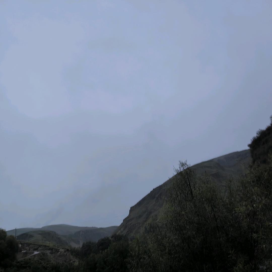 春的宝