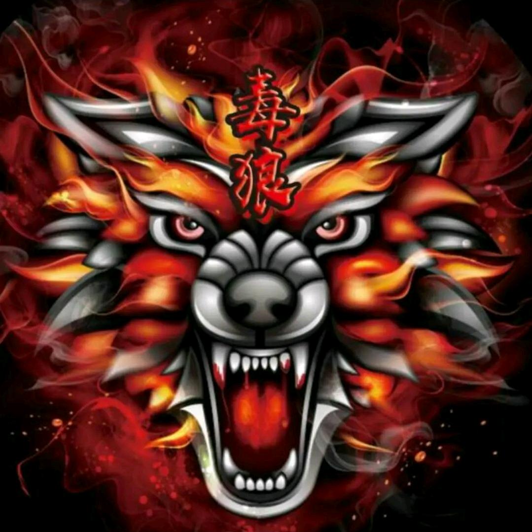 ✨✨💥🔥毒🎊狼🔥💥✨✨