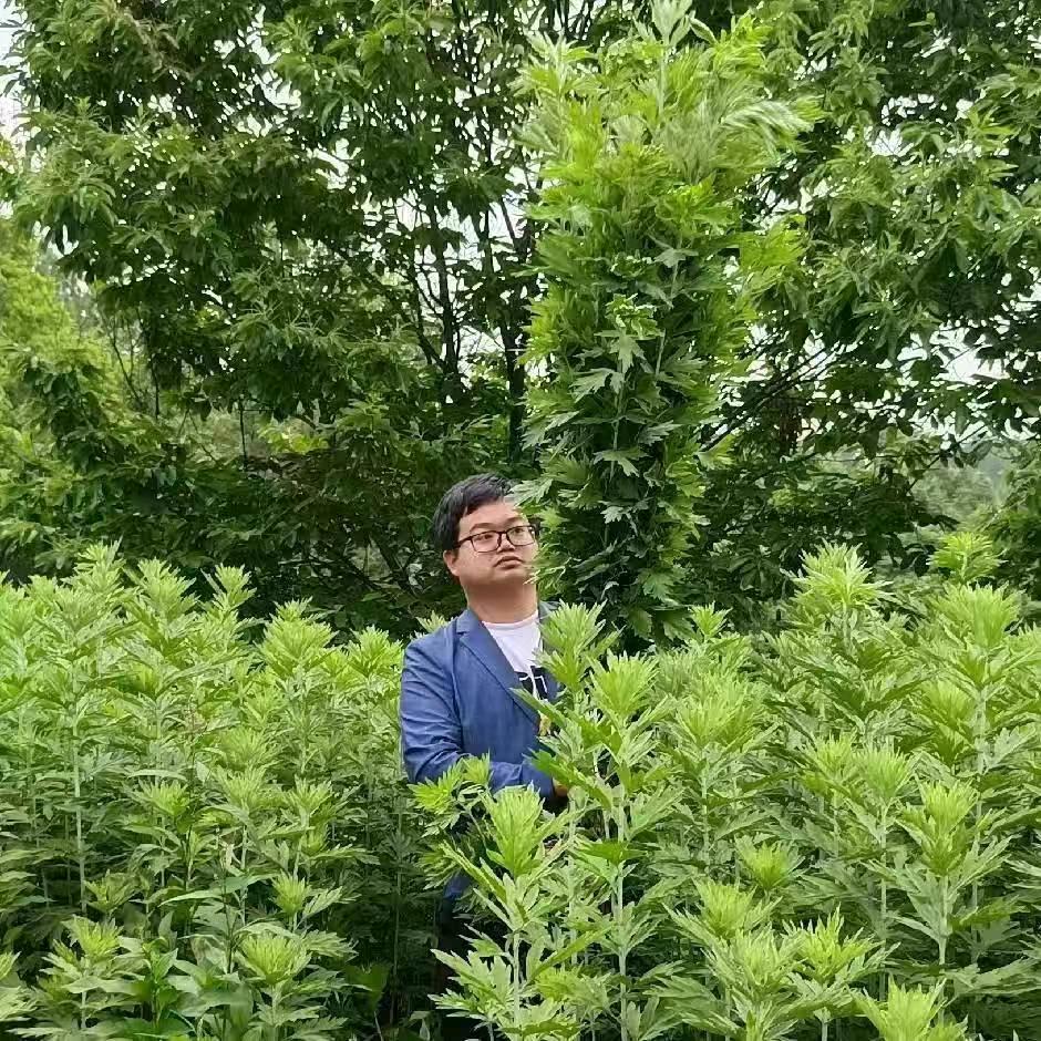 专业艾灸师王老师