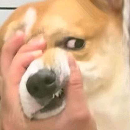 老实人（守望先锋）