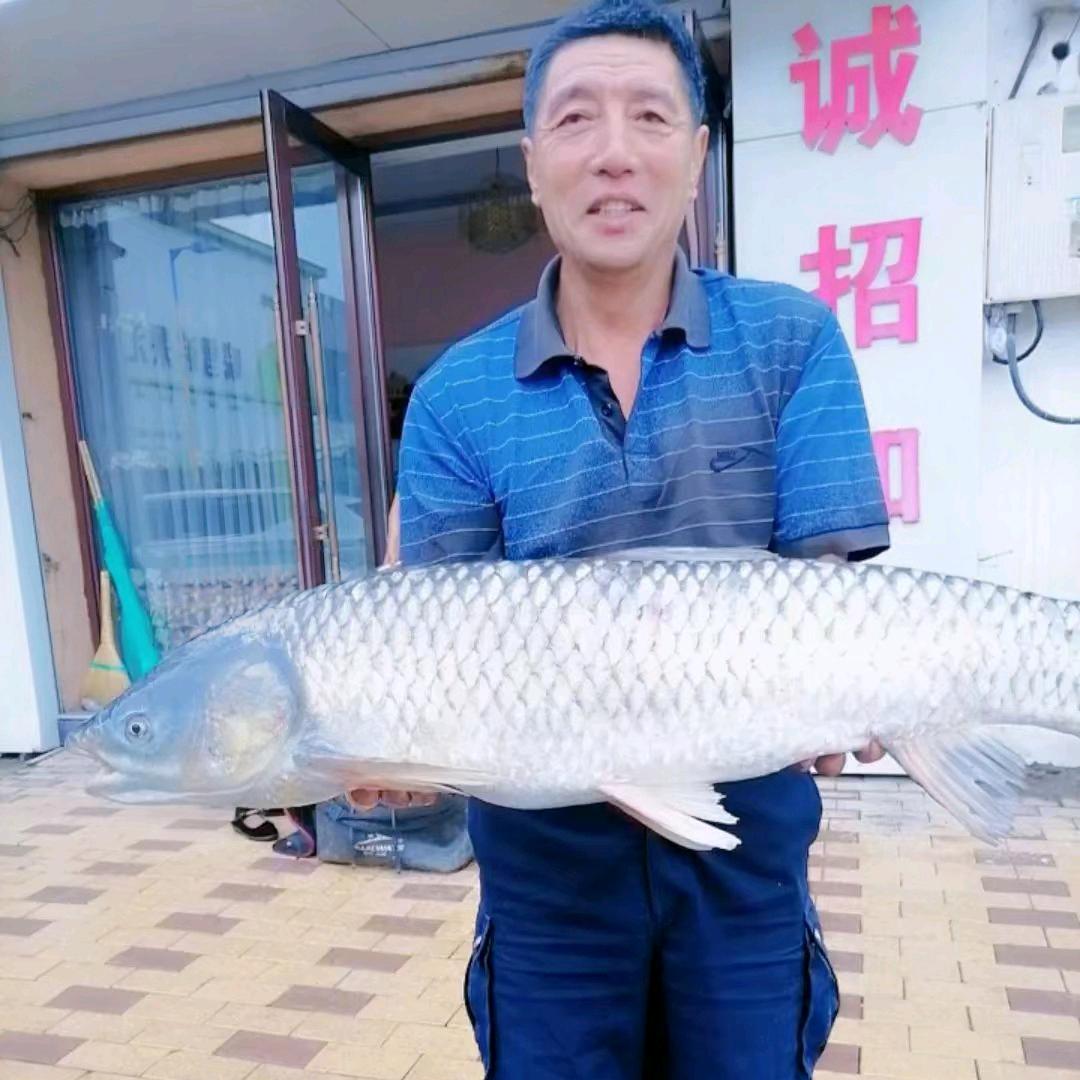 游钓江湖 一老翁