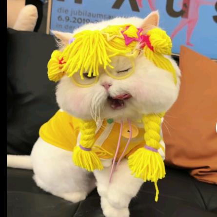 DZ