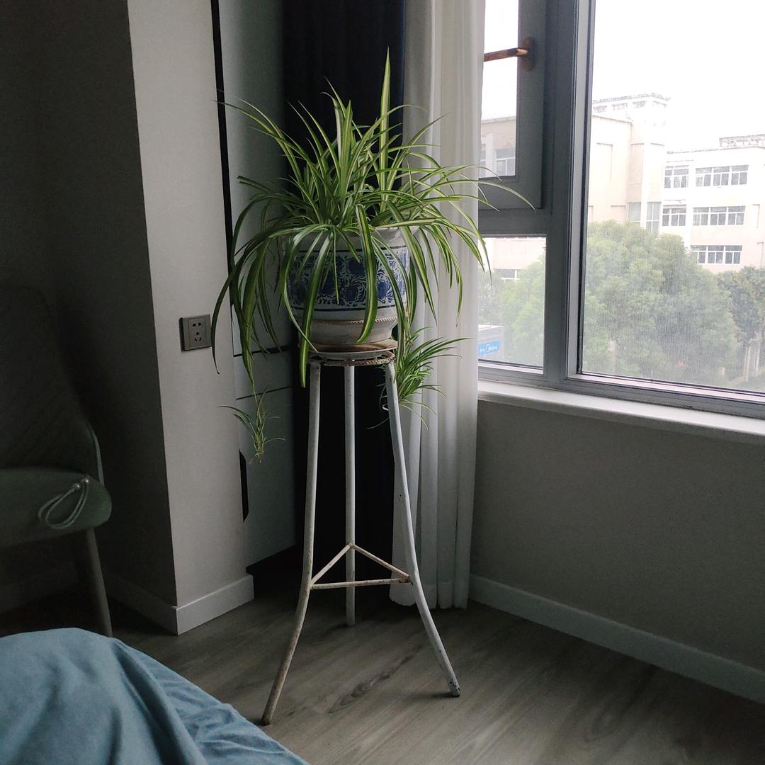 缘分