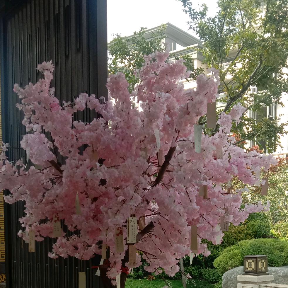 忘记过去，从零开始