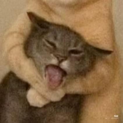 达渡北