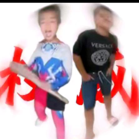 孟夏草木长（山杠子）