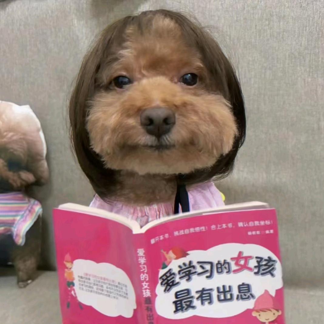 热血青年！