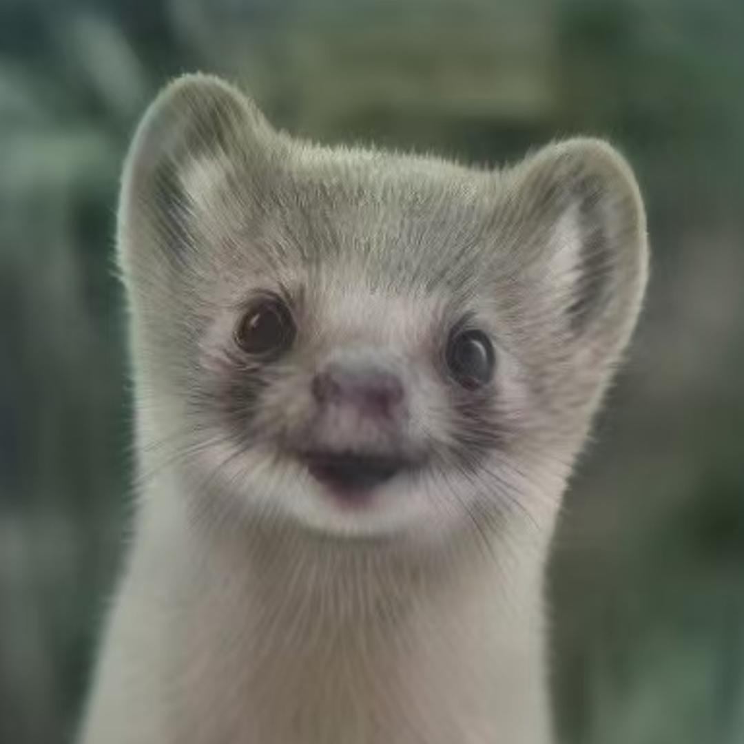 惖小烊