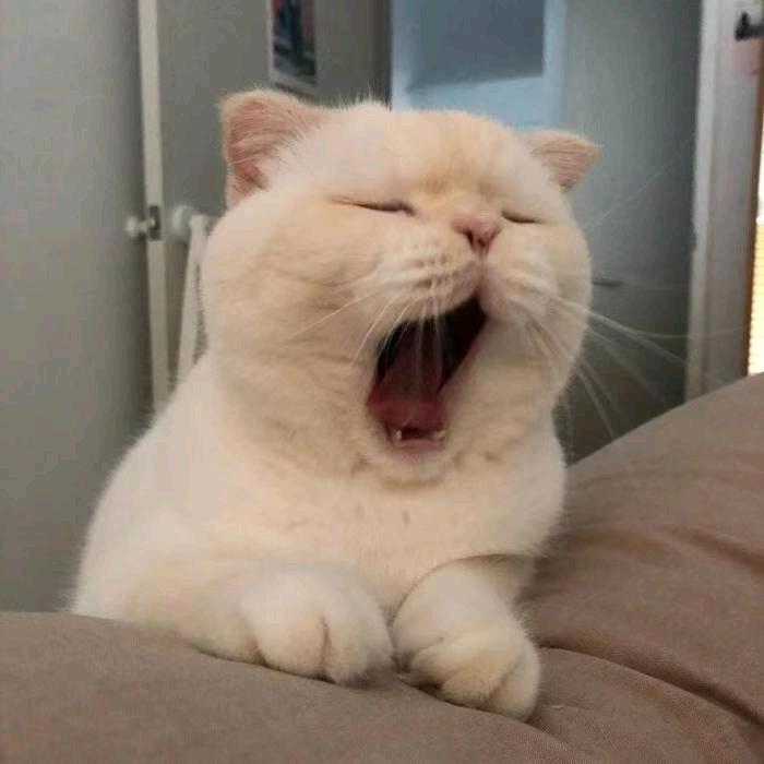 ♂、奋斗: