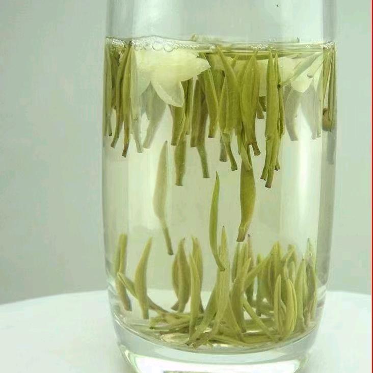 展翅高飞茗谷茶叶店