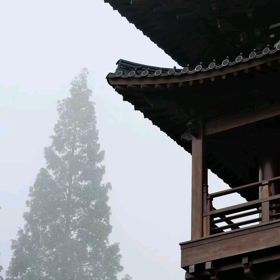 大喜在成长
