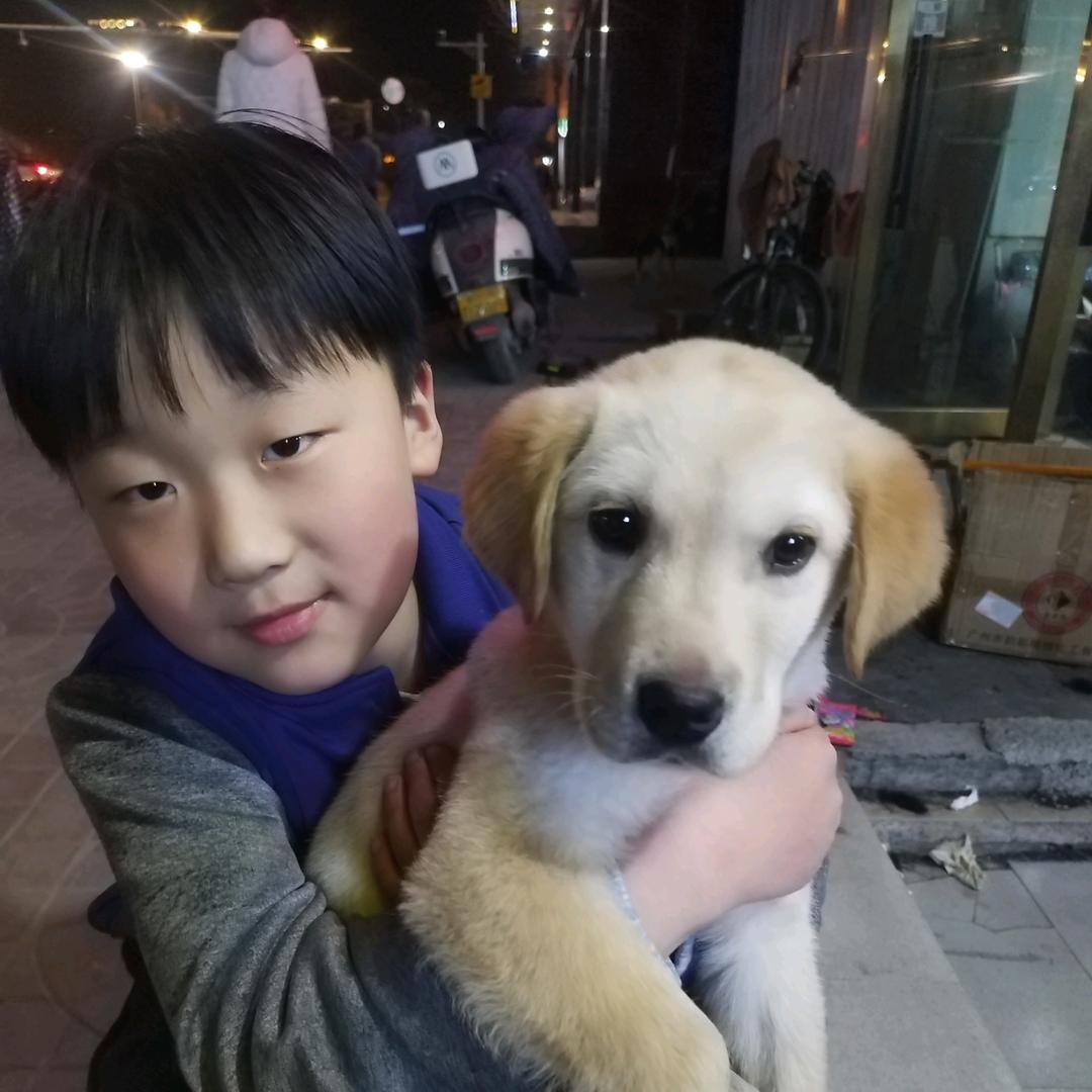 黄豆🐎好物