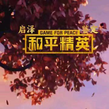 启泽网络科技