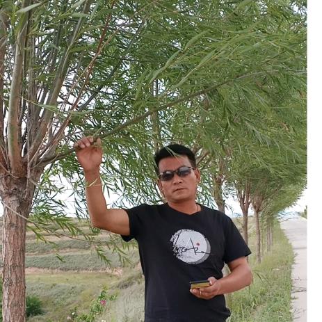 秋风十里相月无棋