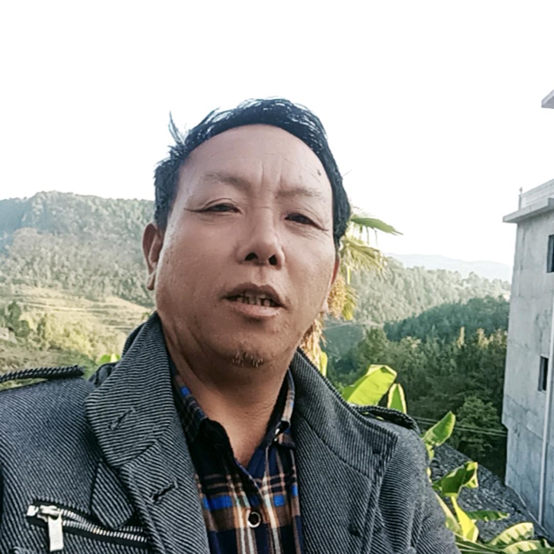 李哥A8315