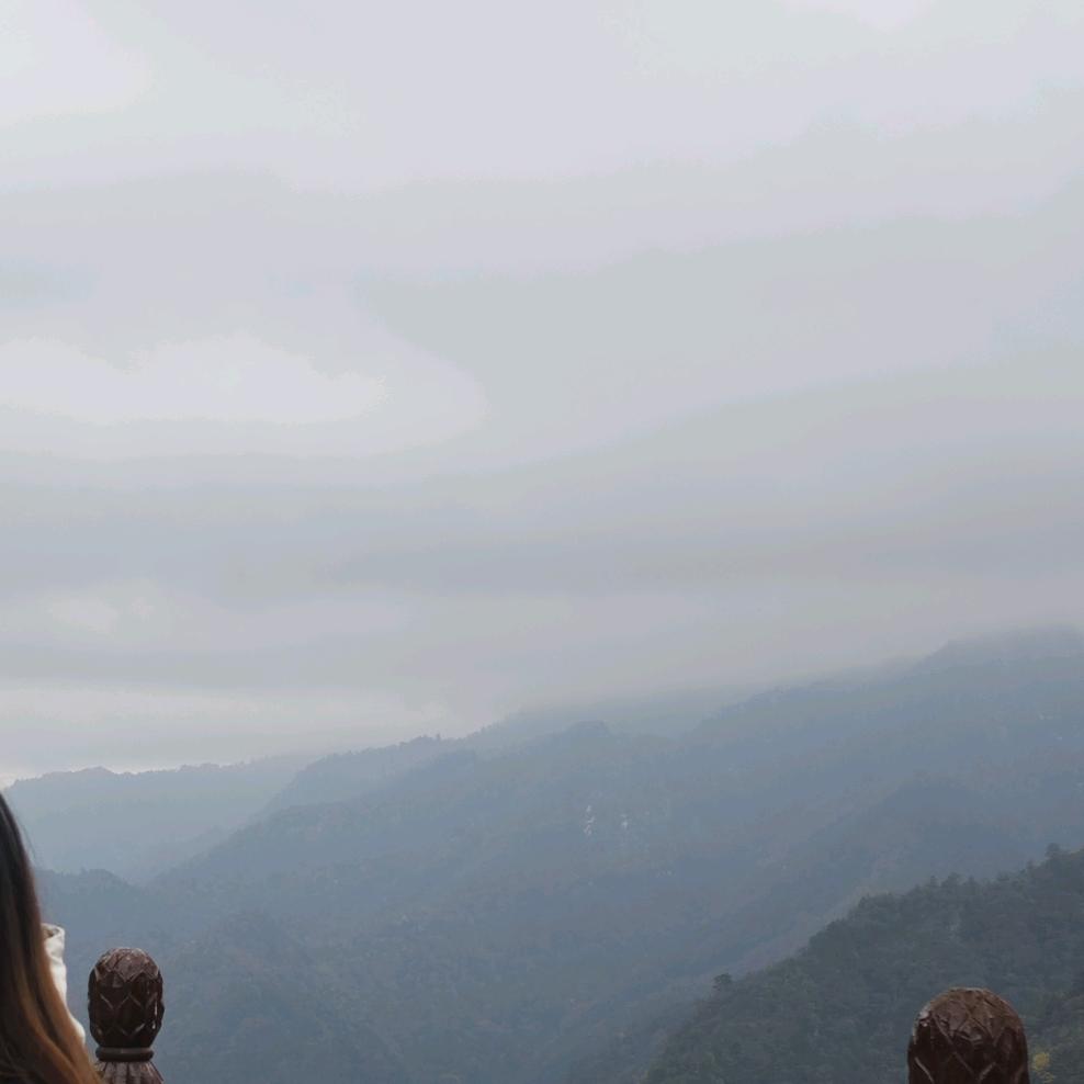 见山电商