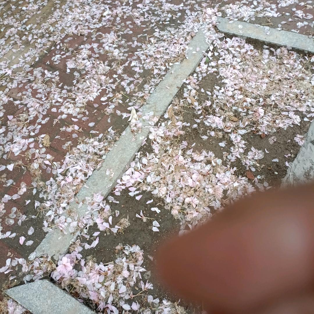 小时光